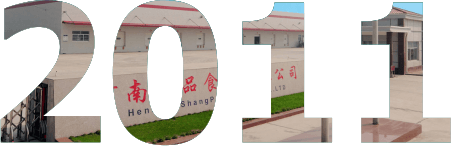 发展历程